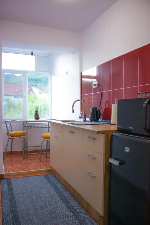 Vlad'S Downtown Apartment Petrila Εξωτερικό φωτογραφία