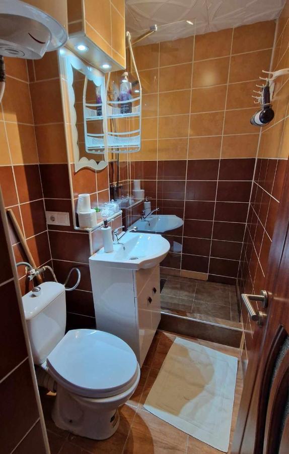 Vlad'S Downtown Apartment Petrila Εξωτερικό φωτογραφία